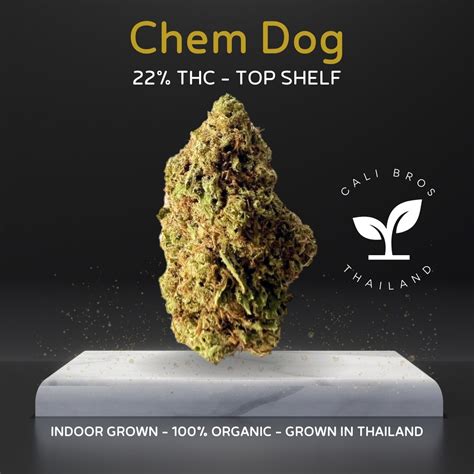 Chemdawg, sometimes referred to as "chemdog", is a legendary cannabis strain with a rather murky past. . Chem hound strain